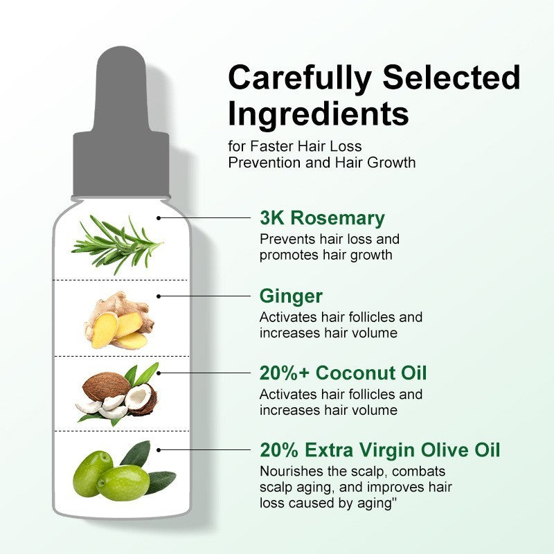 Rosemary Oil Hair Growth For Men Women Ginger Hair Loss Fast Regrowth Thicken Scalp Oils Treatment Hair Treatment